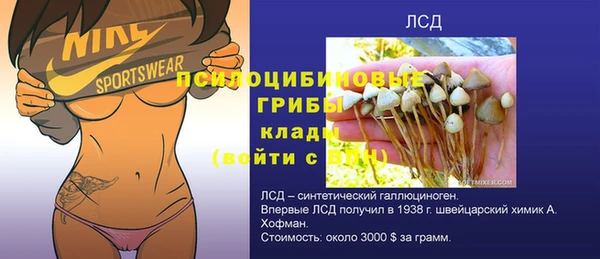 ПСИЛОЦИБИНОВЫЕ ГРИБЫ Зеленокумск