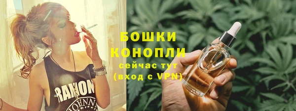 спиды Горняк
