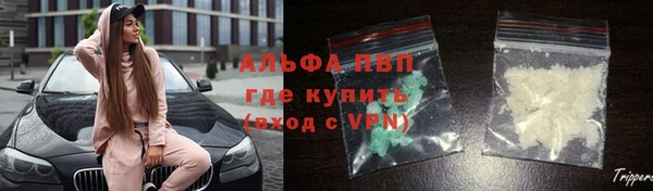 прущие крисы Инта