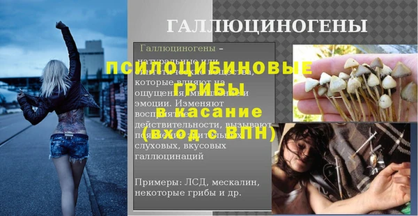 стаф Каменногорск