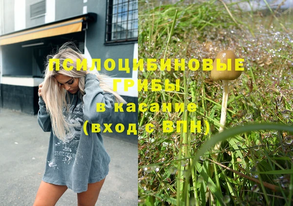 ПСИЛОЦИБИНОВЫЕ ГРИБЫ Зеленокумск