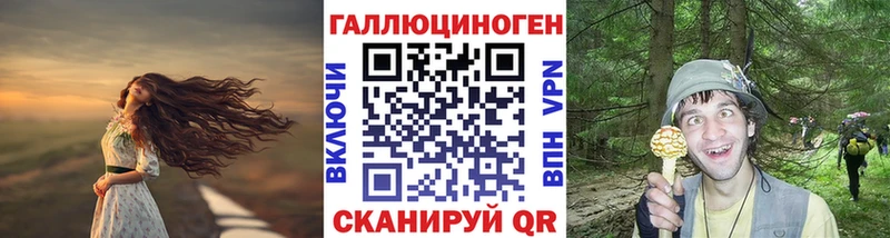 блэк спрут рабочий сайт  как найти закладки  Грязовец  Галлюциногенные грибы Psilocybe 